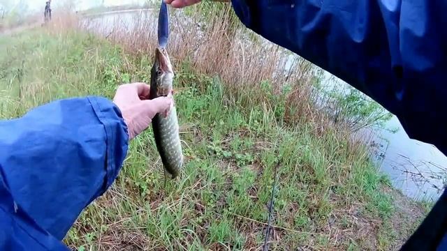 На карьеры за щукой в конце апреля . смотреть онлайн