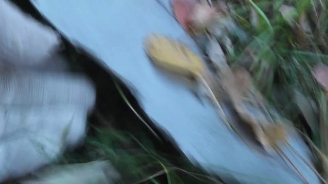 немного охоты.mp4 смотреть онлайн