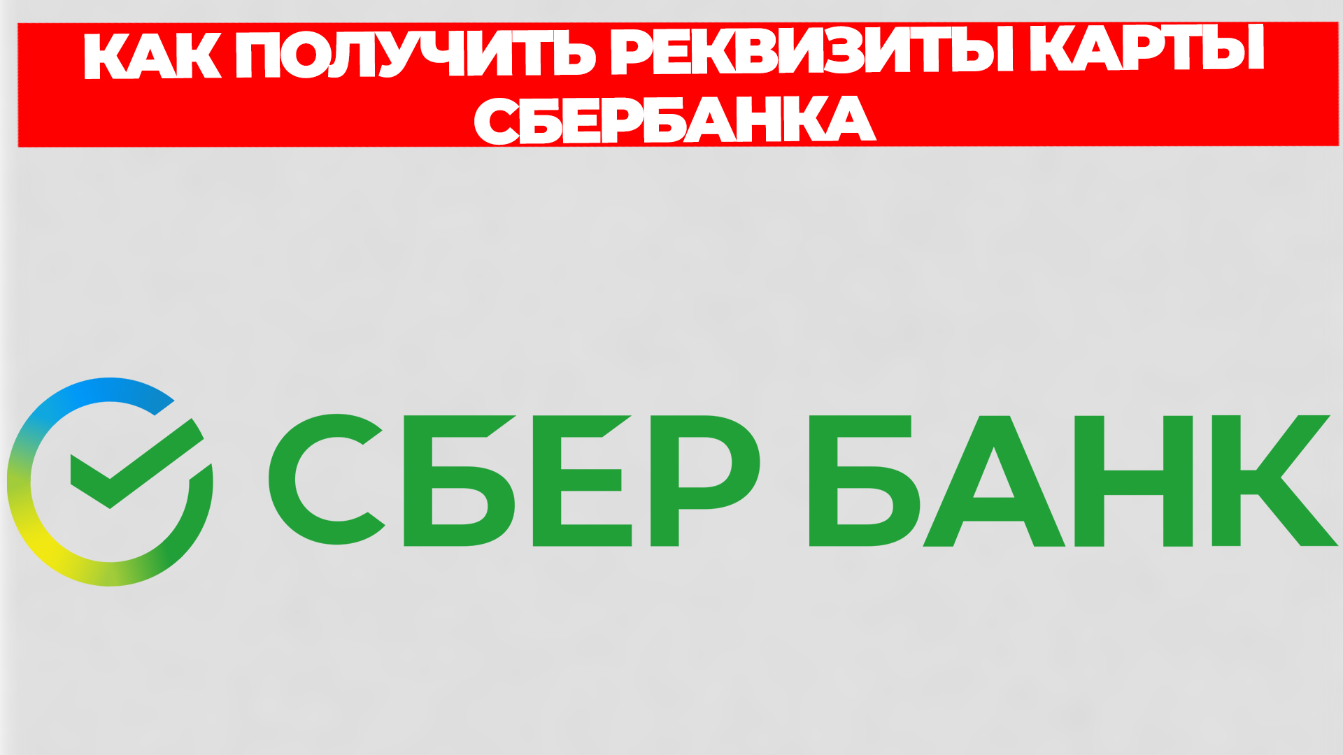 Всезнающий Енот