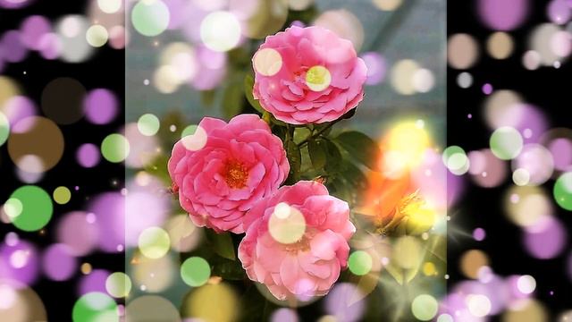 С Днём шахтёра! смотреть онлайн