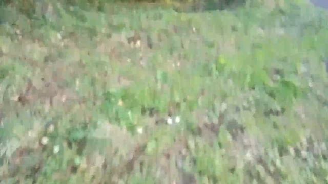 прятки но пол это лава ??? #@())(( легендарное видео смотреть онлайн