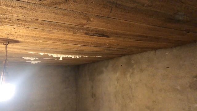 Решили вскрыть пол в старом доме смотреть онлайн