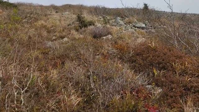 Hard enduro Приморский край.Гора Cнежная. Мы первые кто ее покорил. смотреть онлайн