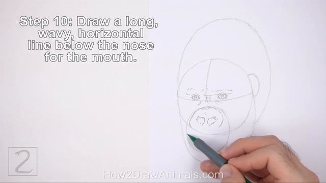 How to Draw a Gorilla (Head Detail) смотреть онлайн
