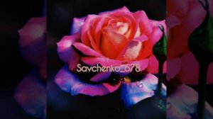 Новинка песня 2020 года.《дарман》