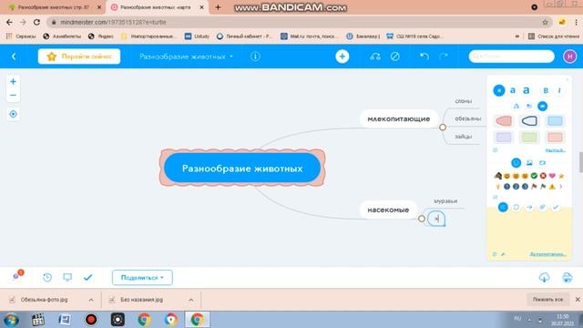 Ментальные карты в образовательном процессе