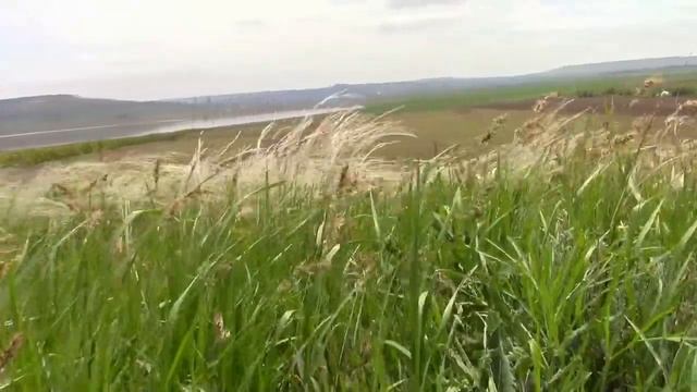 11_05_2019_СТАВРОПОЛЬЕ_СОЛЁНОЕ ОЗЕРО.mp4 смотреть онлайн