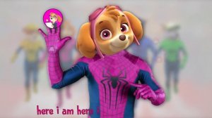 Finger Family Spiderman Paw Patrol Colors Learn | Nursery Rhymes