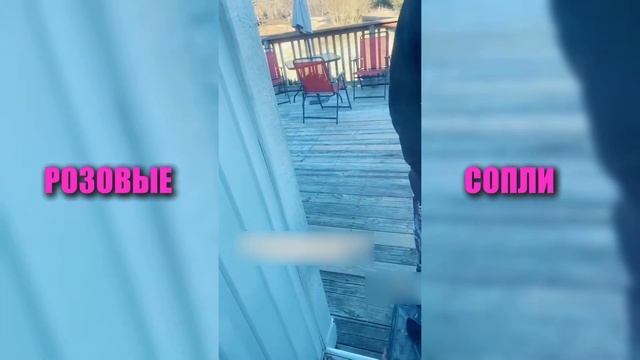 Женщина выгнала мужа за измену, а он хочет домой смотреть онлайн