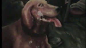 Владимир Глазунов играет на гармони