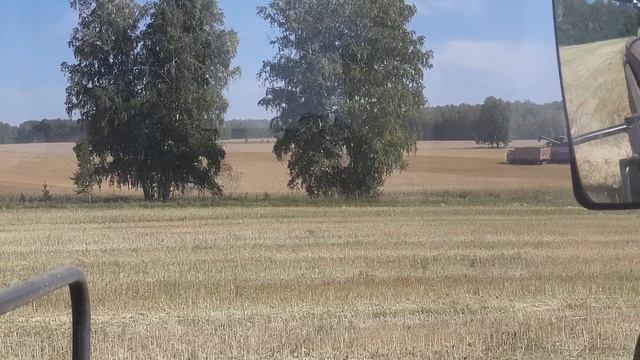 Молочу рапс.Встретил соседей смотреть онлайн