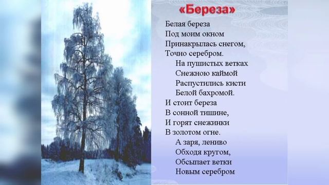 Стихотворение С.А. Есенин "Берёза" #есенин #береза #стихиесенина смотреть онлайн