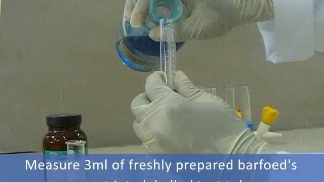 Barfoed's Test - Qualitative Test in Carbohydrates смотреть онлайн