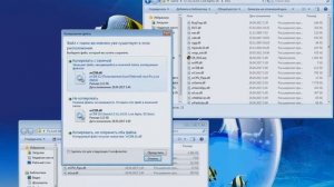 [Xray Engine Ошибка] S.T.A.L.K.E.R. - Lost Alpha DC - ФИКС