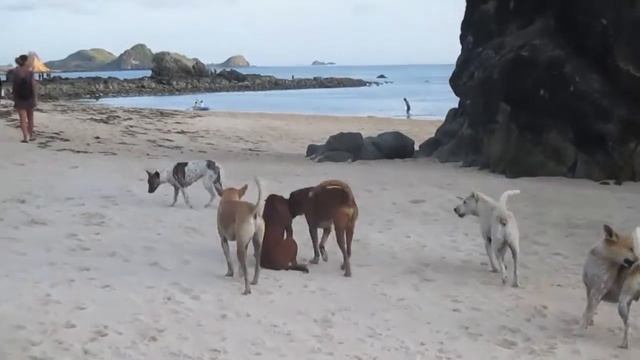 Lo mejor de las Islas Gili y Lombok смотреть онлайн