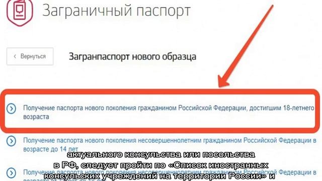 Как оформить шенгенскую визу через госуслуги смотреть онлайн