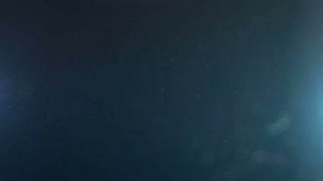 Special for Travels 4 смотреть онлайн