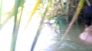 Рыбалка на Маныче Ставропольский край