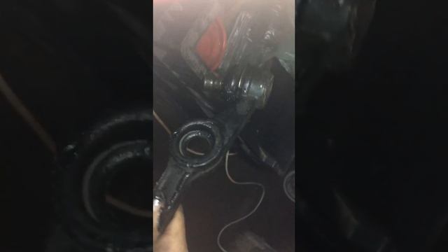 Дом, в котором живут мечты