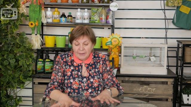 Органическое земледелие ✅ Основные принципы ✅ С чего начать? смотреть онлайн