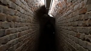 Женский монастырь.  Серафимович (Усть-Медведицкий Спасо-Преображенский монастырь)