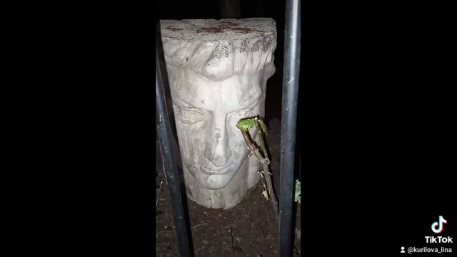 я с неё балдею#до чего же хороша#статуи#скульптуры#shorts смотреть онлайн