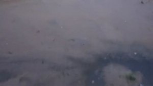 ДЕРЕВНЯ НИКУЛИНО ТВЕРСКАЯ ОБЛАСТЬ