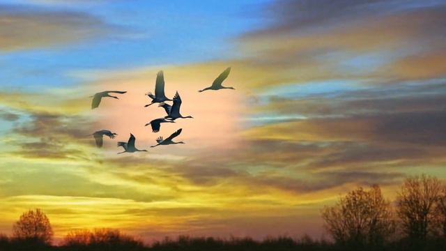 Попутная смотреть онлайн