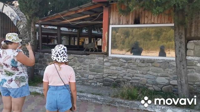 отпуск Лазаревское день 9 - холодное море и мост смотреть онлайн