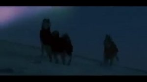 Павел Кашин Белым бело