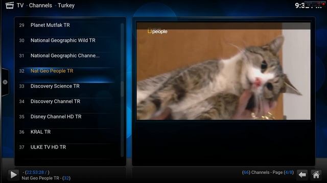 IPTV Ligtv TiViBu SKY Bundesliga 3000+ Channels Kodi FireTv Xbmc SmartTv смотреть онлайн