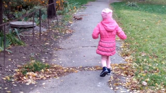 Белочка прелесть, собирает на зиму орешки-прячет) Злата кормит белочку, подружились смотреть онлайн