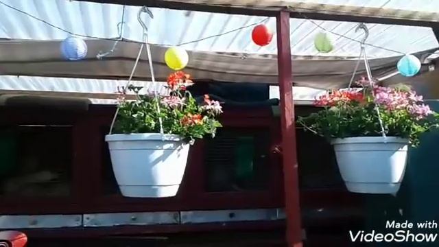 ОБЗОР ХОЗЯЙСТВА♡ ДЕЛА♡ БРОЙЛЕРЫ♡