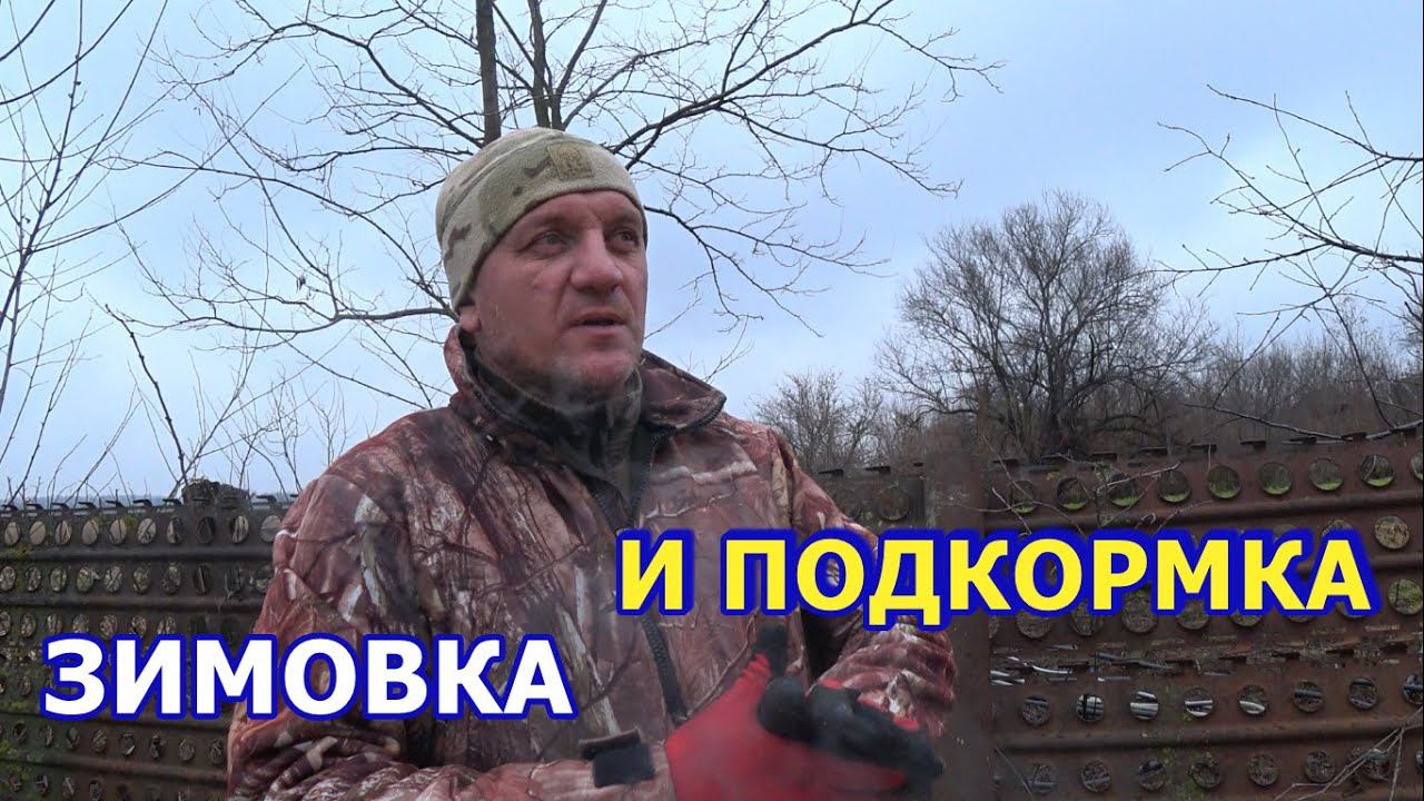 ЗИМОВКА И ПОДКОРМКА смотреть онлайн