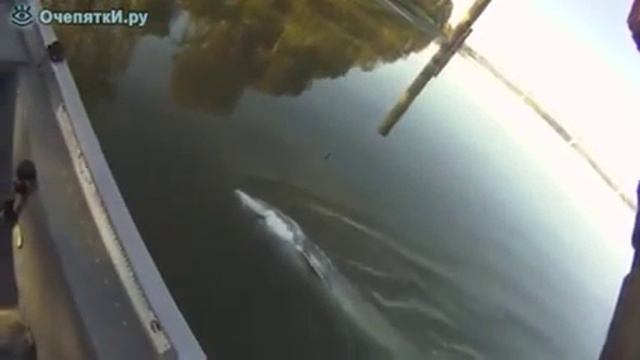 Рыба это сила, что ты не знаешь смотреть онлайн