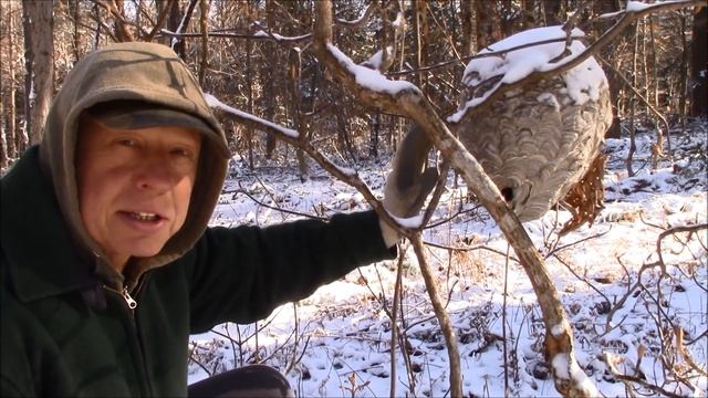 OFF GRID CABIN LIFE. Building The Workshop And Greenhouse At Our Mountain Homestead. смотреть онлайн