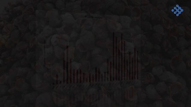 A Story of an Invasive Alien Species, Rapana venosa, in the Black Sea смотреть онлайн