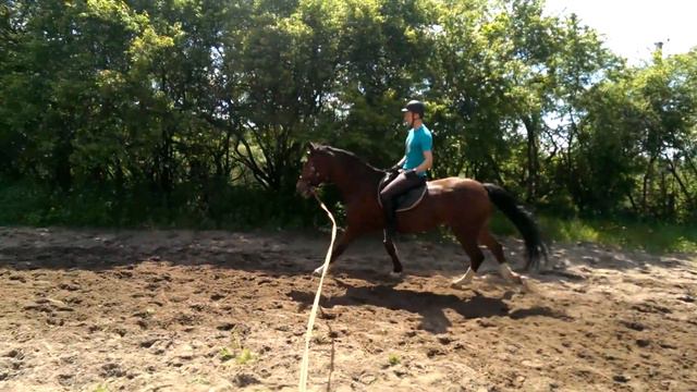 Максимиллиан 2015-05-29 Портье, галоп. смотреть онлайн