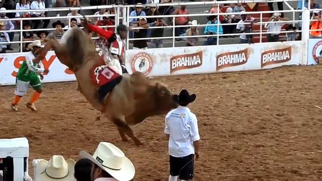 Marcos Fernandes Menezes X Châmego Cia 3B - Barretos 2013 - 25 08 2013 смотреть онлайн