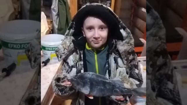 Зимняя рыбалка в Карелии 2019. Сямозеро смотреть онлайн