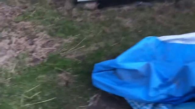 Немного о утках и насосе ДЖИЛЕКС? смотреть онлайн