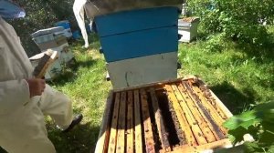 Делаем сборные отводки для расширения пасеки