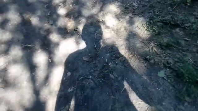 Венгрия Замок графа Дракулы смотреть онлайн