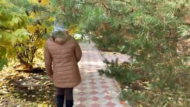 Чудеса благоустройства Улицы где люди Живут Прогулка Пешком ВОТ ГДЕ НУЖНО ЖИТЬ смотреть онлайн