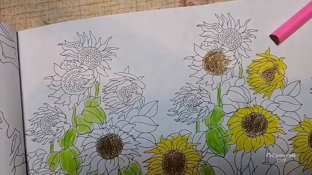 Появились комары/что делать/прямой эфир! смотреть онлайн