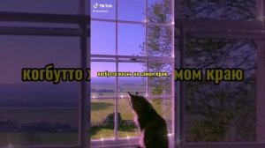 НОВЫЙ ФФ « Тайно влюблён!» (Т/И и ПЯТЫЙ) // АКАДЕМИЯ АМБРЕЛЛА// ФФ //
