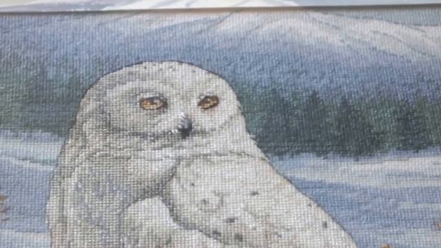 Dimensions 03861The Stately Snow Owl/Величественная снежная сова смотреть онлайн