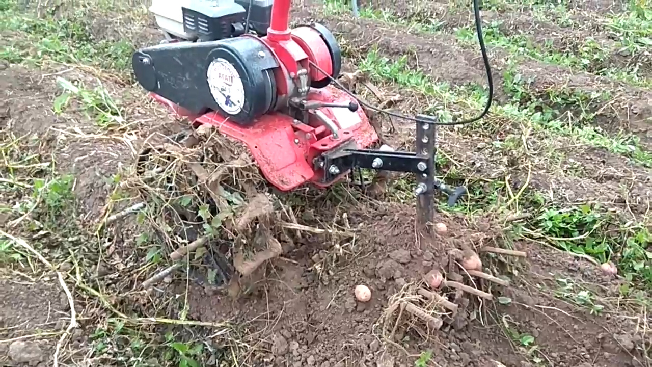 Картофелекопалка веерная к мотоблоку Агат. Испытание модернизированных грунтозацепов смотреть онлайн