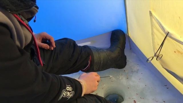 Бешеный клёв плотвы. Зимняя рыбалка на Рузе. Ночевка в палатке на льду. смотреть онлайн