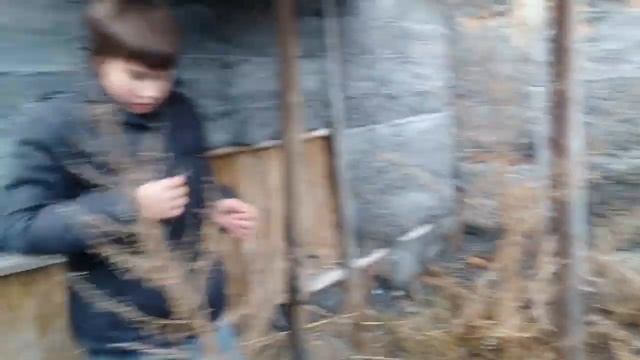 будем делать домик в этом месте в заброшенный дом смотреть онлайн